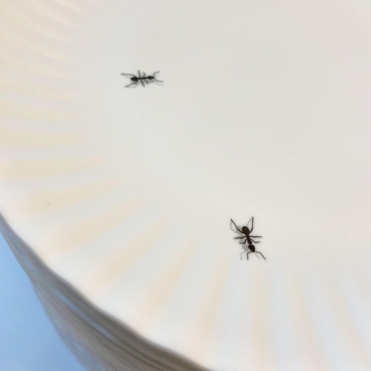 Plate - 6" "Paper Plate" Ants - Melamine