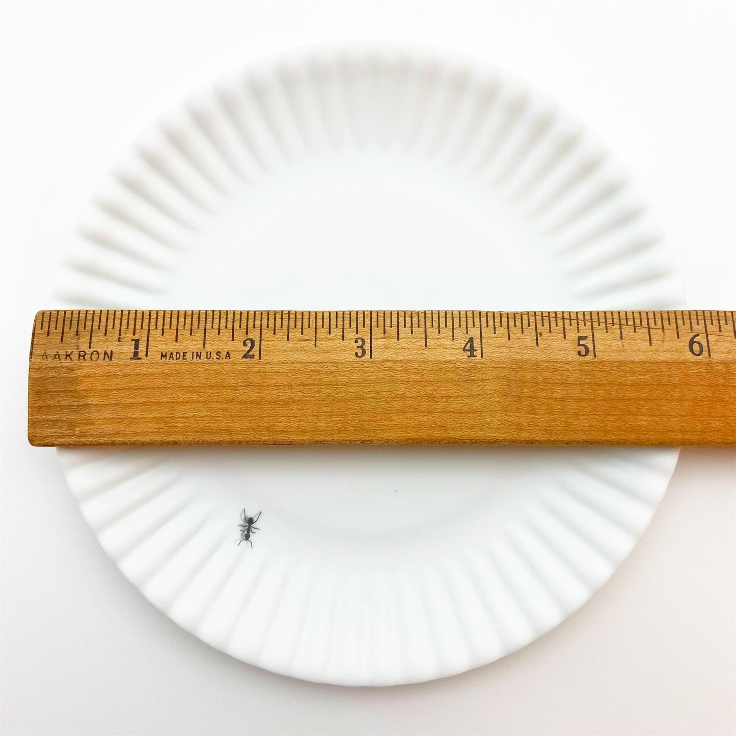 Plate - 6" "Paper Plate" Ants - Melamine