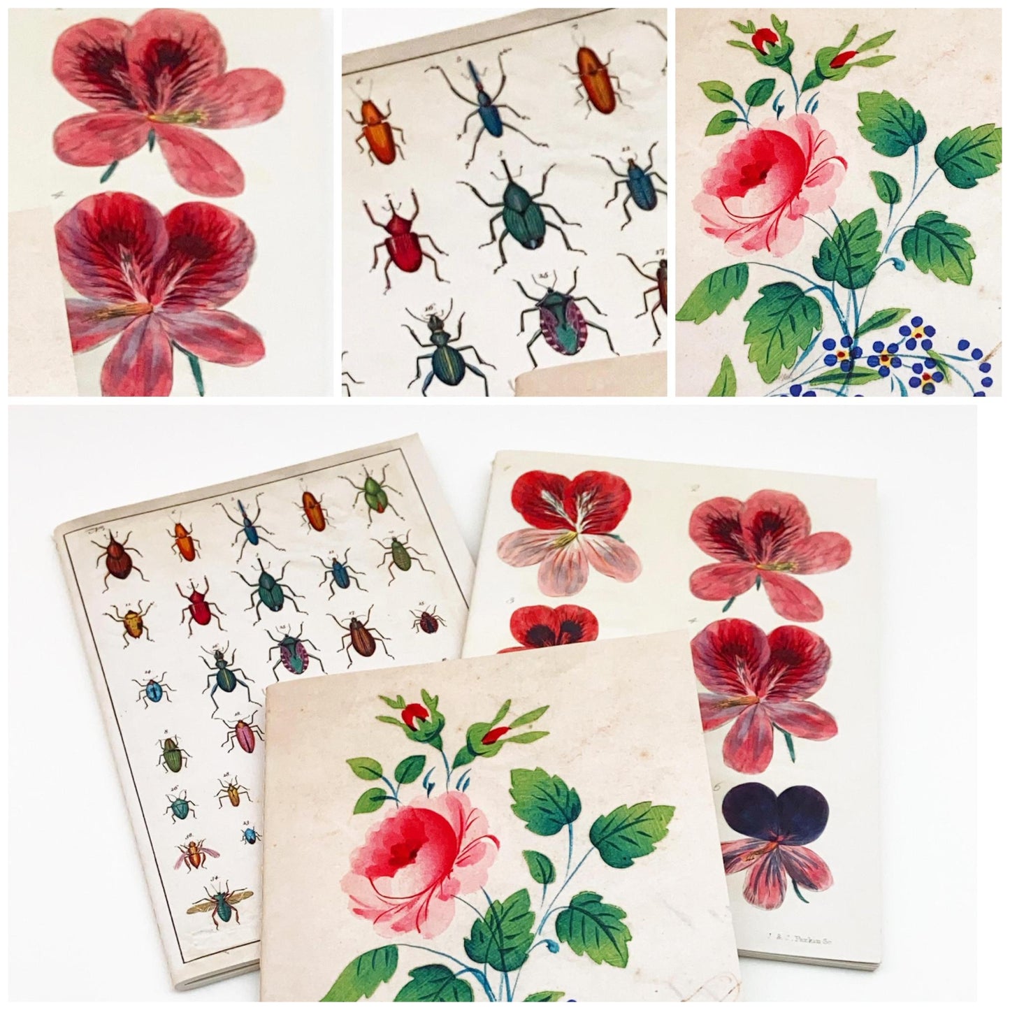 Journal - Floral Cover - Unlined