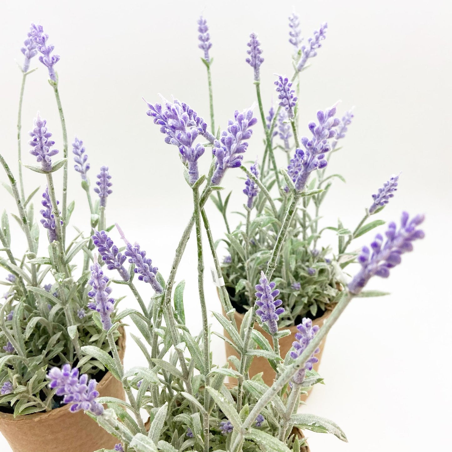 Faux Plant - Lavender