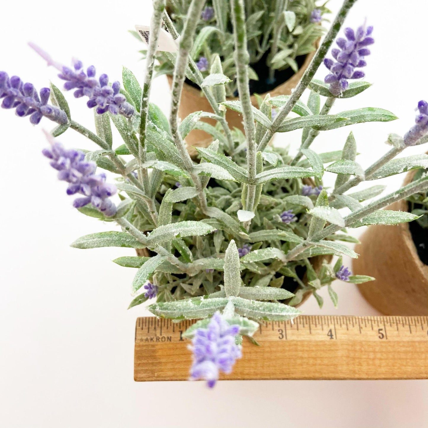 Faux Plant - Lavender
