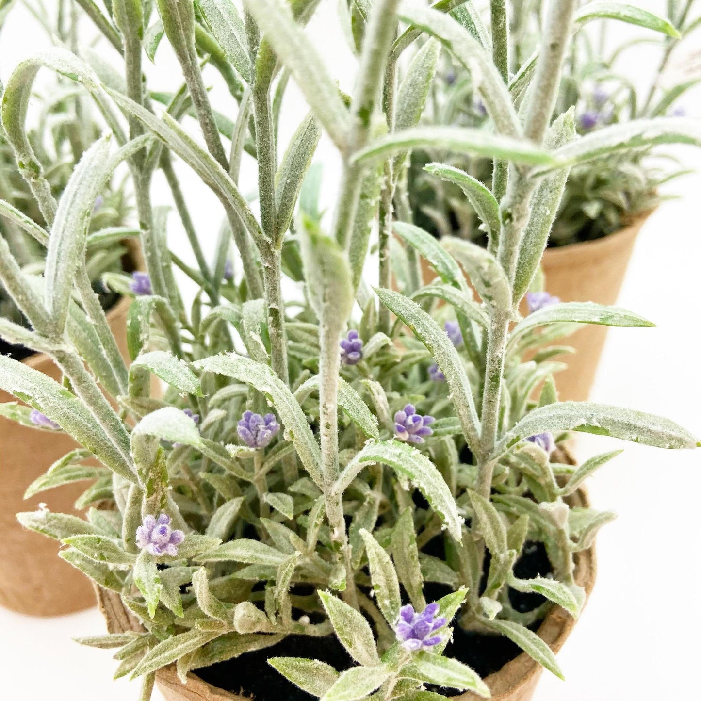 Faux Plant - Lavender