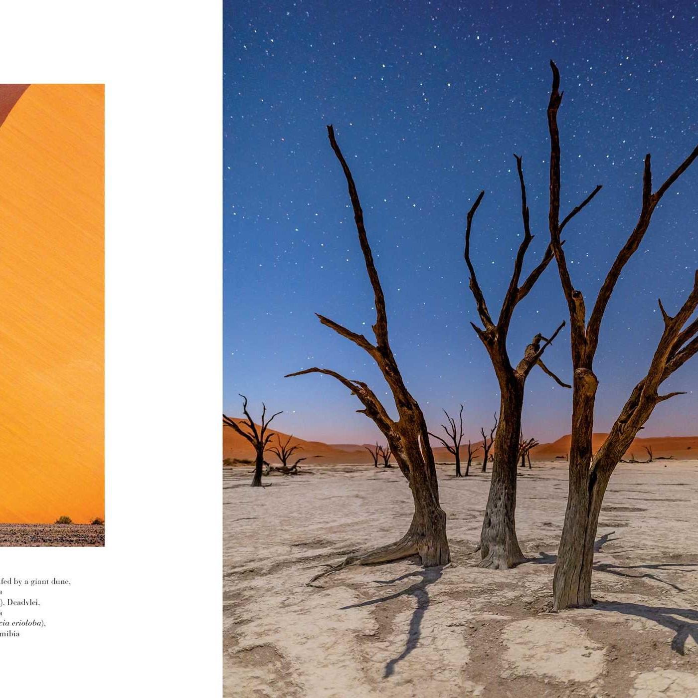 Book - Trees