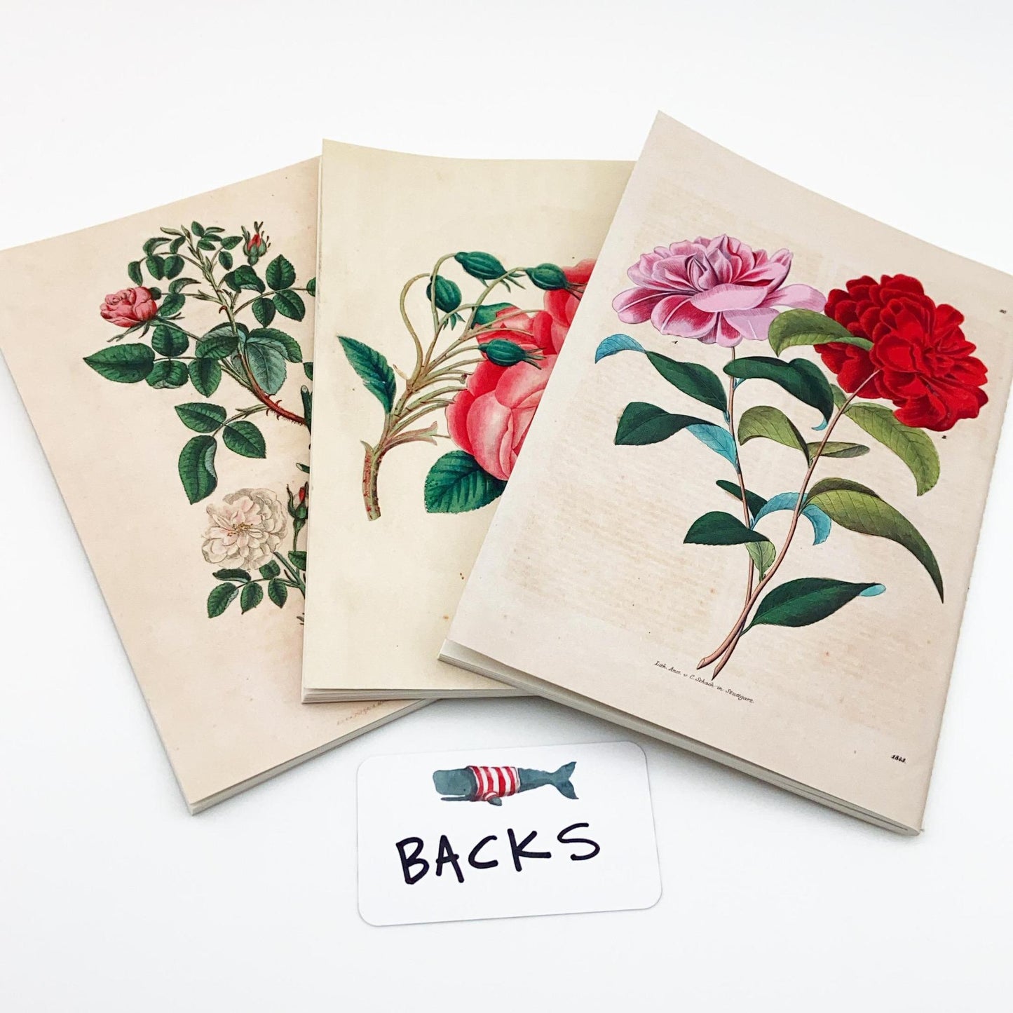 Journal - Floral Cover - Unlined