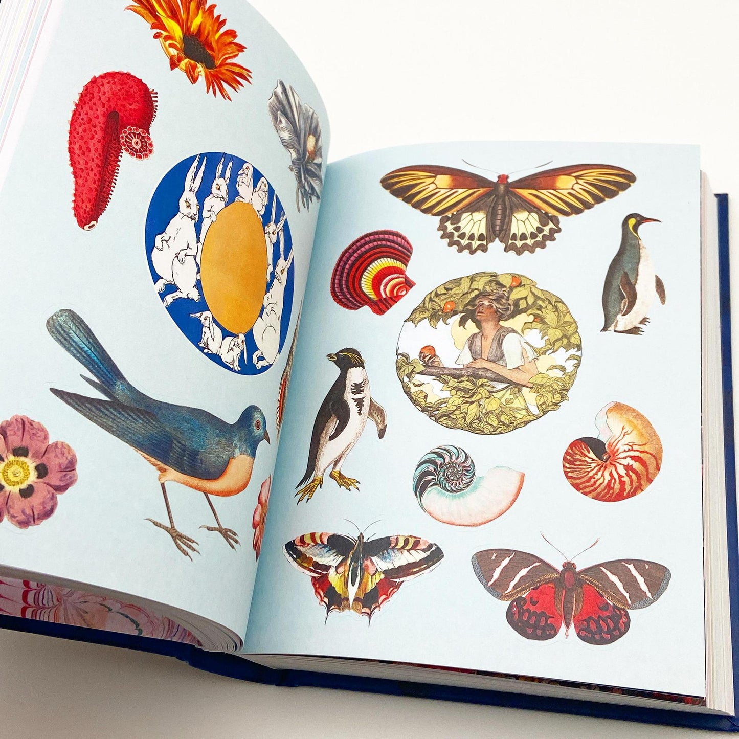 Book - Antiquarian Sticker Book