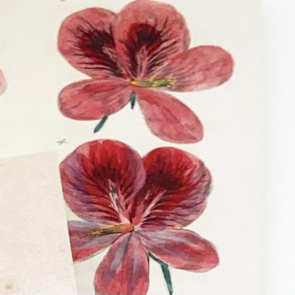 Journal - Floral Cover - Unlined