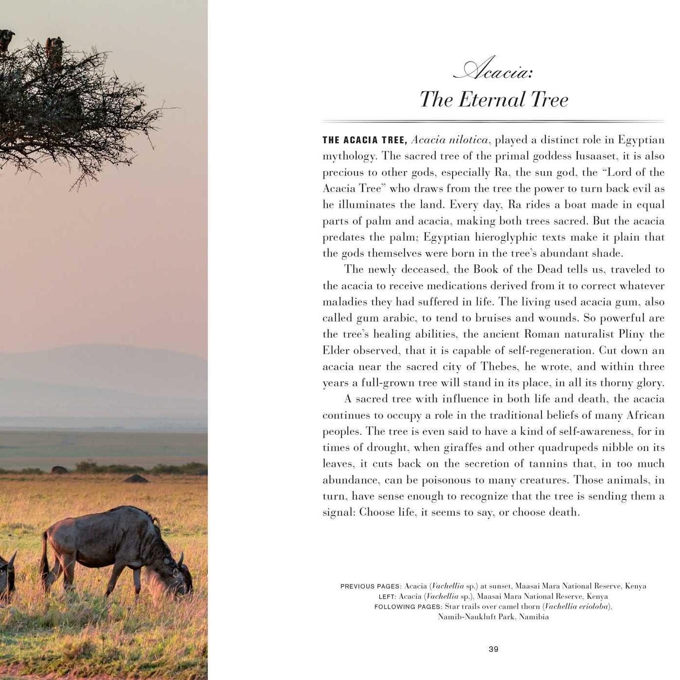 Book - Trees