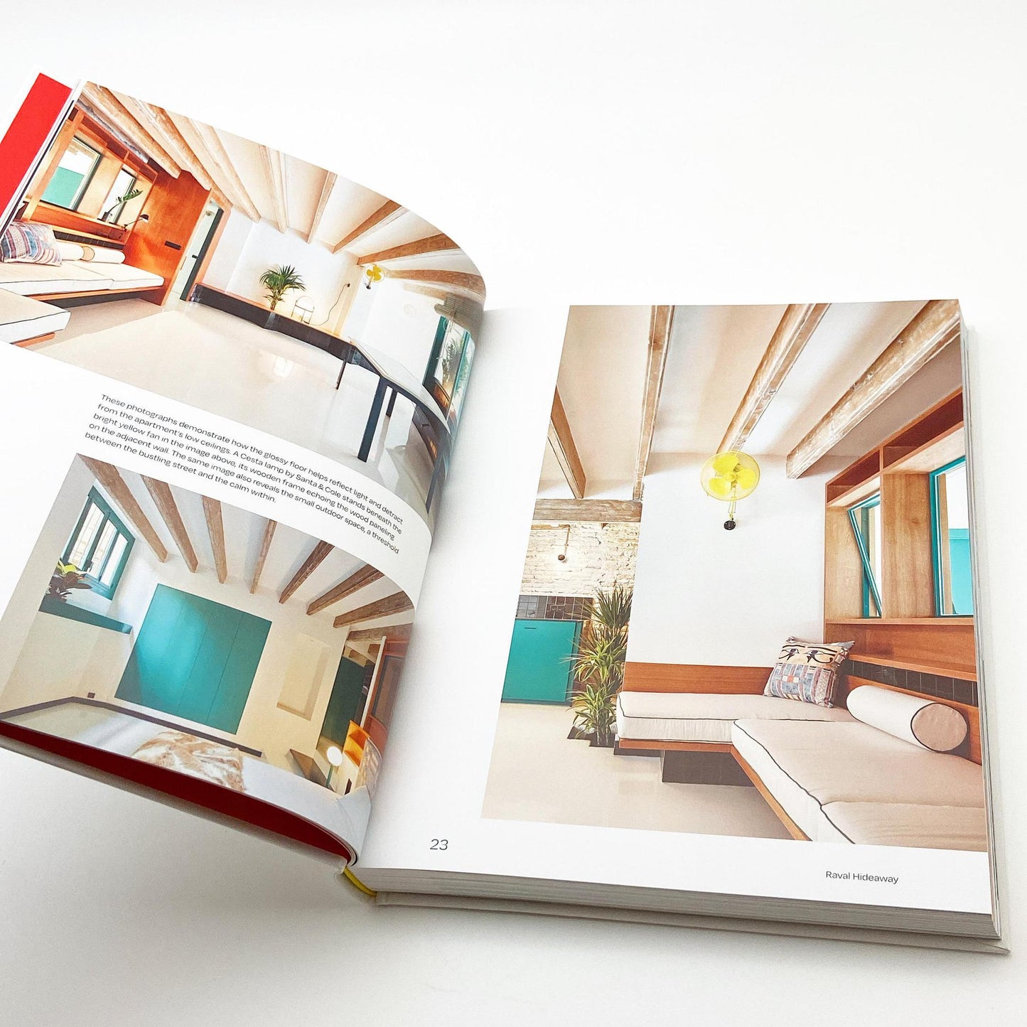 Book - House Of Joy