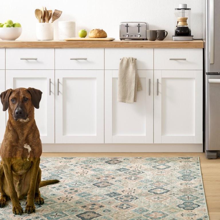 Rug - Machine-Washable - Pali Blue