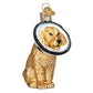 Ornament - Blown Glass - Cone of Shame Dog