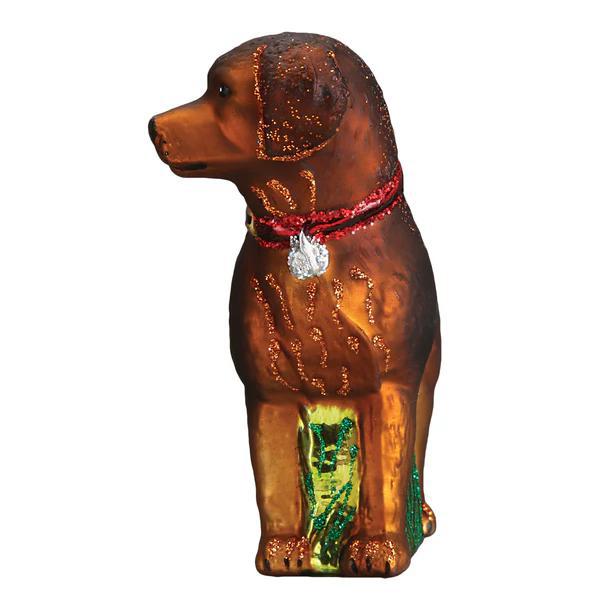Ornament - Blown Glass - Standing Chocolate Lab
