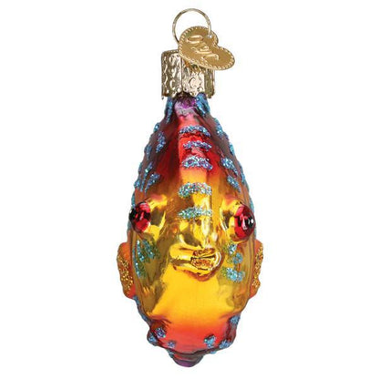 Ornament - Blown Glass - Discus Fish