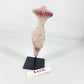 Sculpture - "Chick-o-Stick" - Female Form