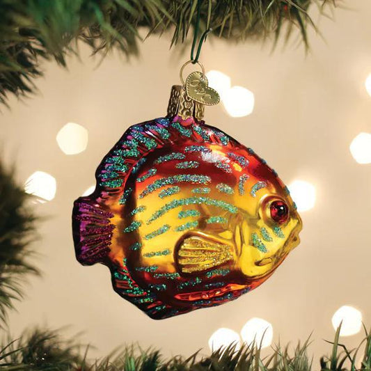 Ornament - Blown Glass - Discus Fish