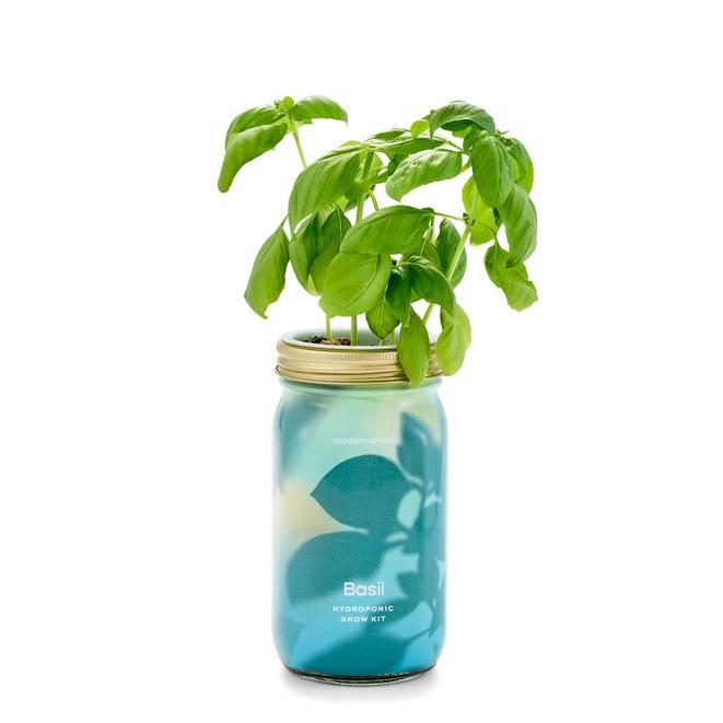 Garden Jar - Growing Kit of Organic Plants