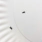 Platter - Melamine "Paper Plate" - Ants