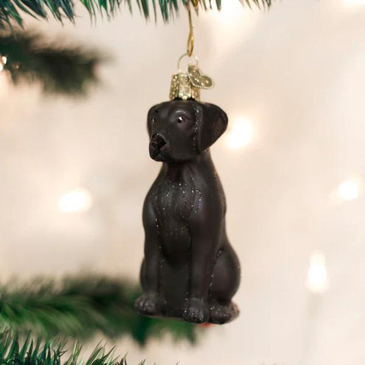 Ornament - Blown Glass - Black Labrador