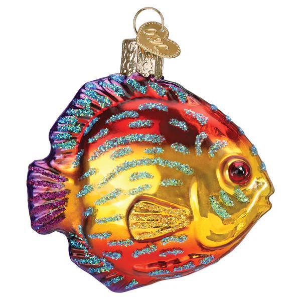 Ornament - Blown Glass - Discus Fish