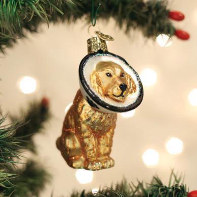 Ornament - Blown Glass - Cone of Shame Dog